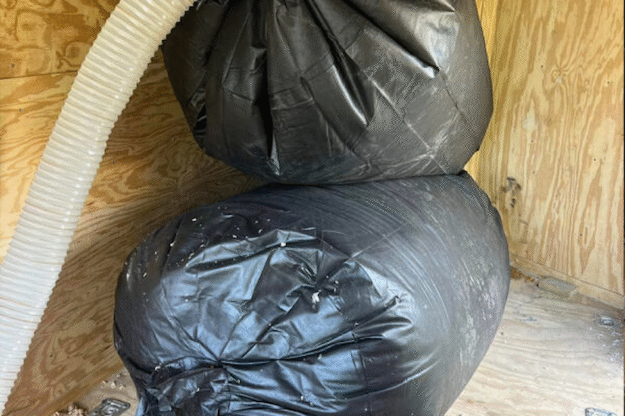 attic insulation removal